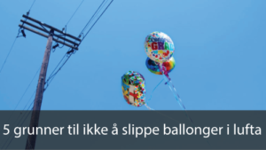 5 grunner til ikke å slippe ballonger